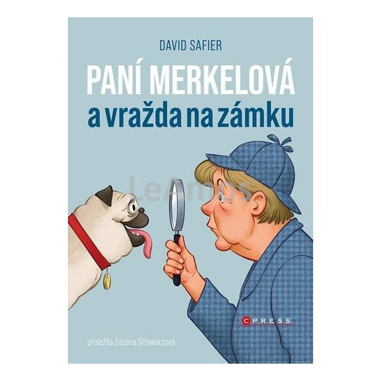 Obrázek