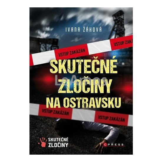 Obrázek