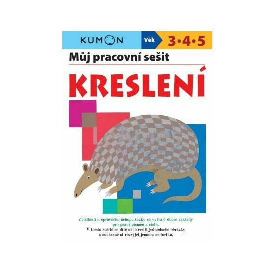 Obrázek