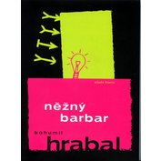 Obrázek