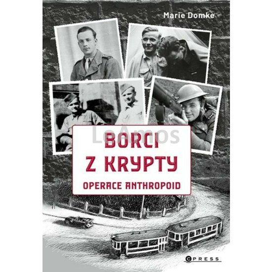 Obrázek