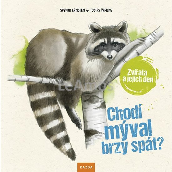 Obrázek