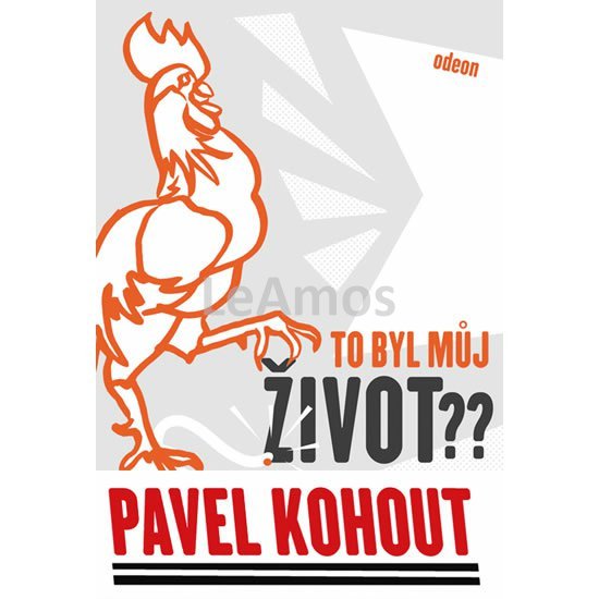 Obrázek
