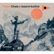 Obrázek