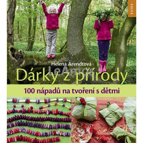 Obrázek