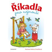 Obrázek