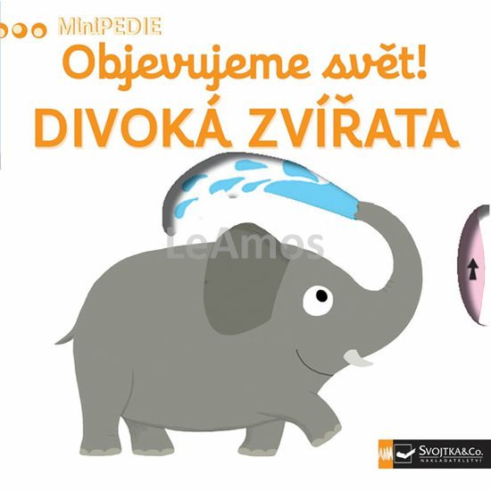 Obrázek