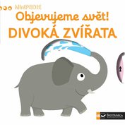 Obrázek