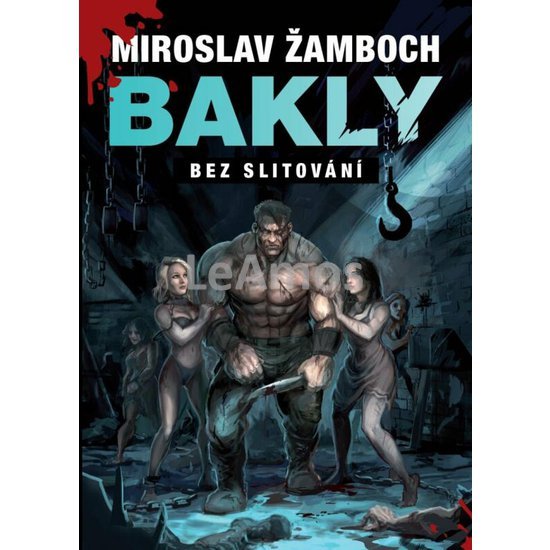 Obrázek