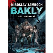Obrázek