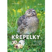 Křepelky