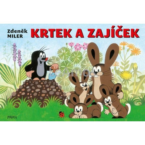 Obrázek