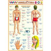 Obrázková angličtina - lidské tělo