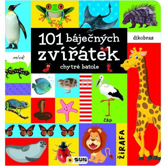 Obrázek