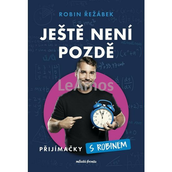 Obrázek