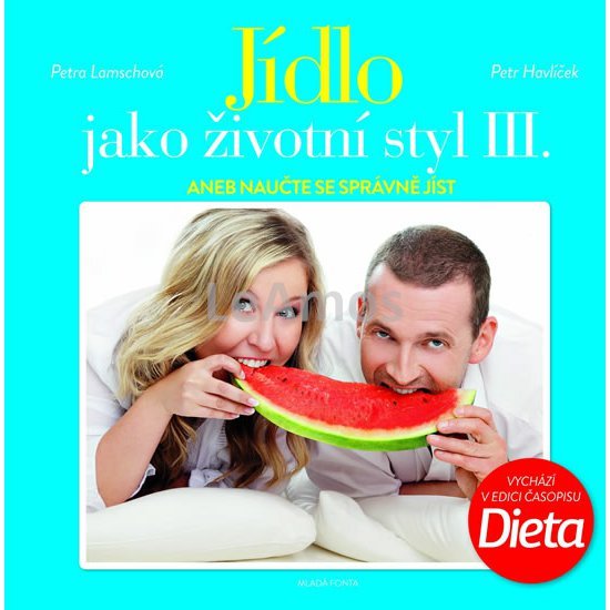 Obrázek
