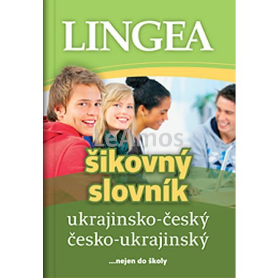 Obrázek