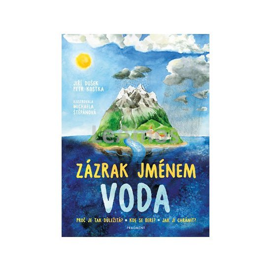 Obrázek