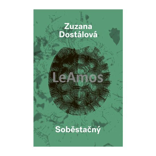 Obrázek