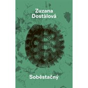 Obrázek