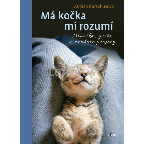 Obrázek