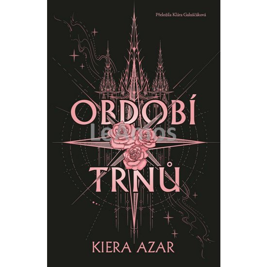 Obrázek