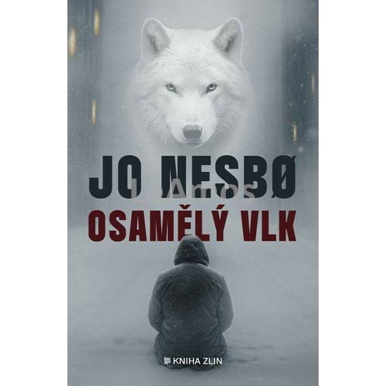 Obrázek