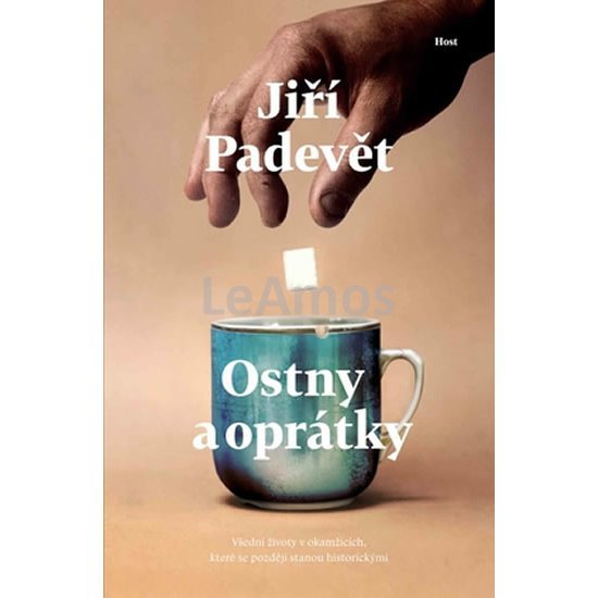 Obrázek
