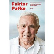 Obrázek