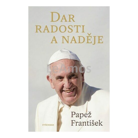 Obrázek