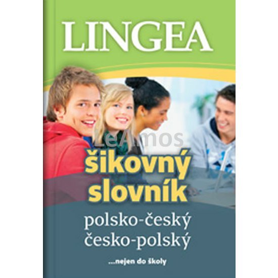 Obrázek