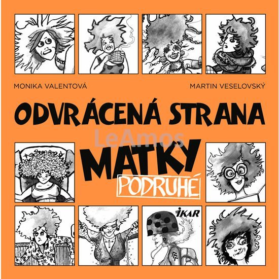 Obrázek