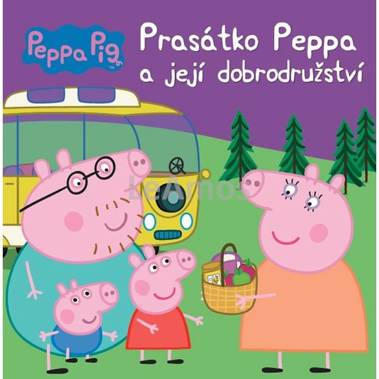 Obrázek