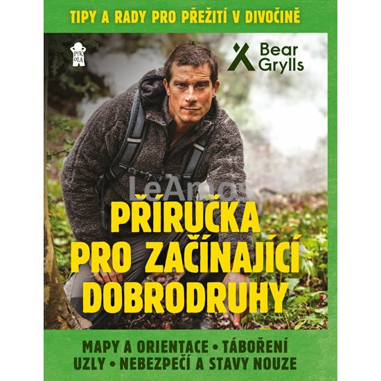 Obrázek