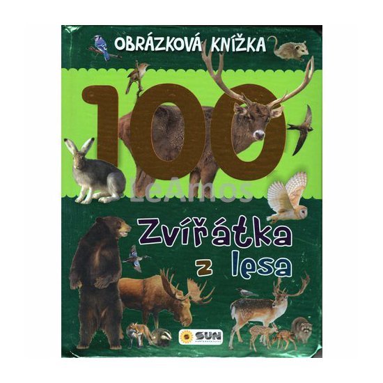 Obrázek