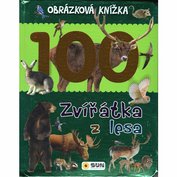 Obrázek