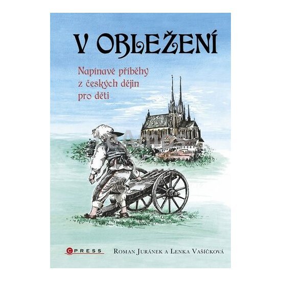 Obrázek