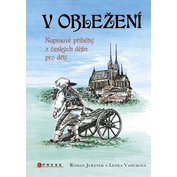 Obrázek