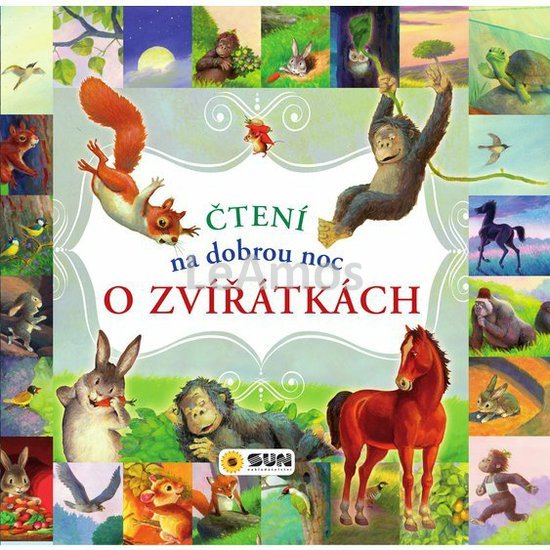 Obrázek