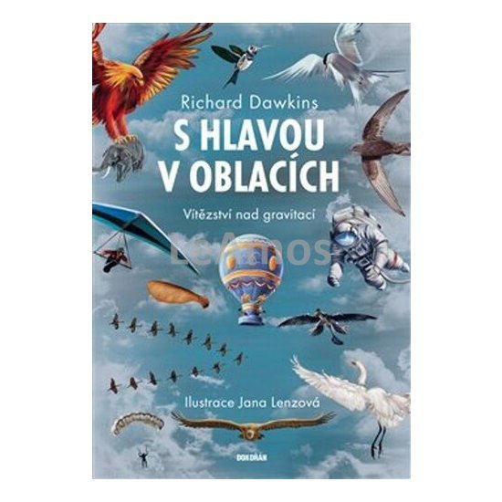 Obrázek