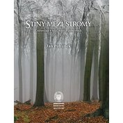 Stíny mezi stromy