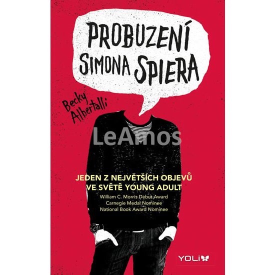 Obrázek