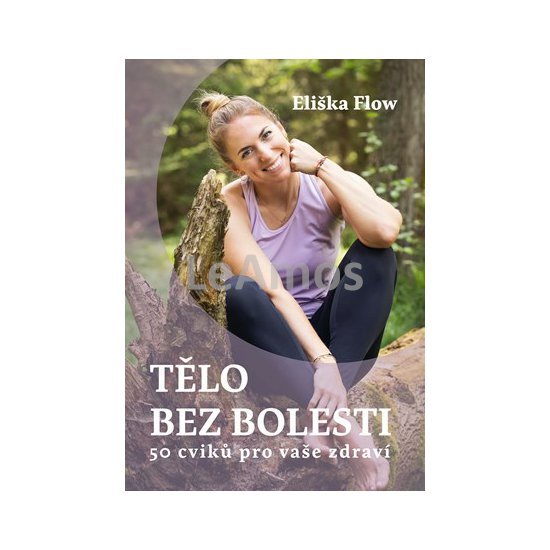 Obrázek
