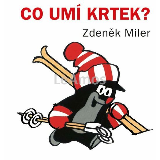Obrázek
