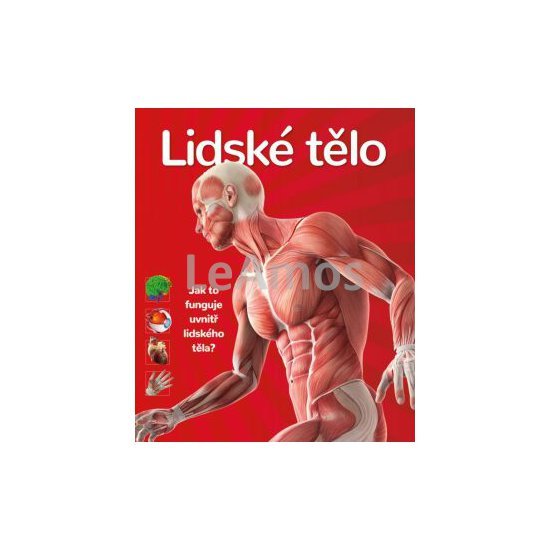 Obrázek