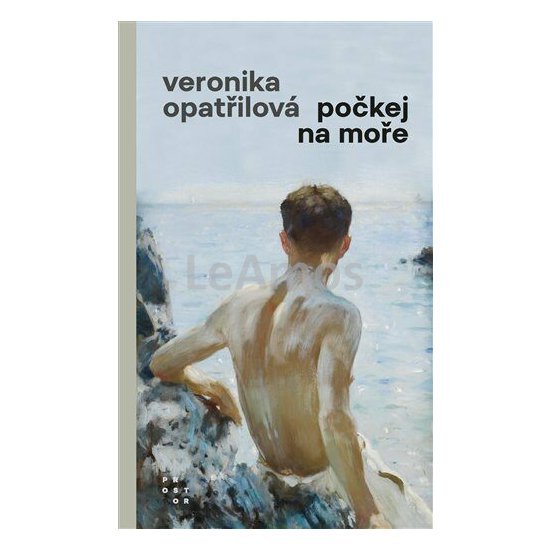 Obrázek