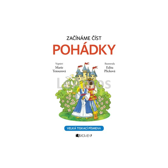 Obrázek