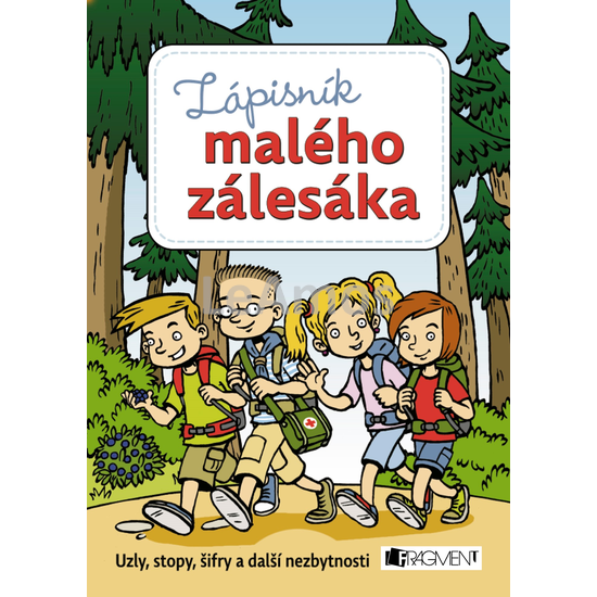 Obrázek