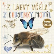 Životní cyklus - Z larvy včela / Z kukly motýl